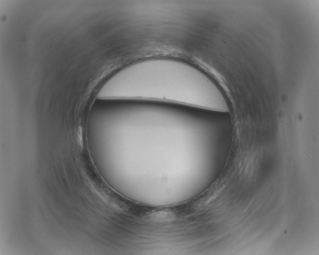 X0000075900067200609151101