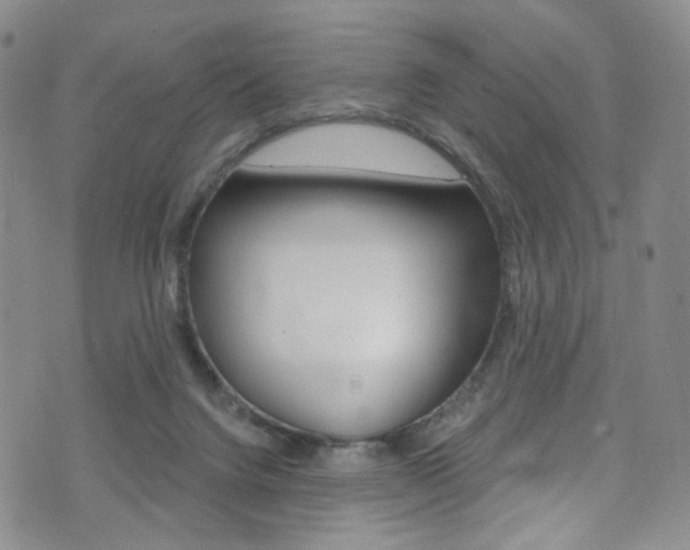 X0000075900072200609151101