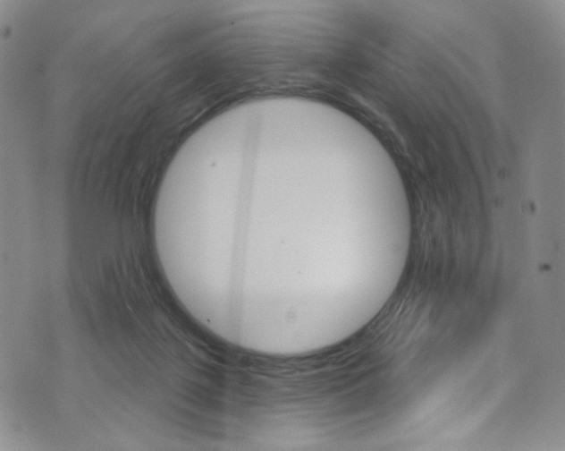 X0000075900075200609151102