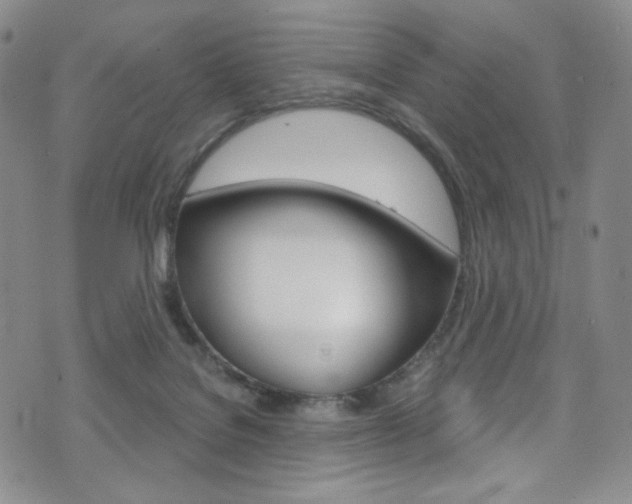 X0000075900076200609151102