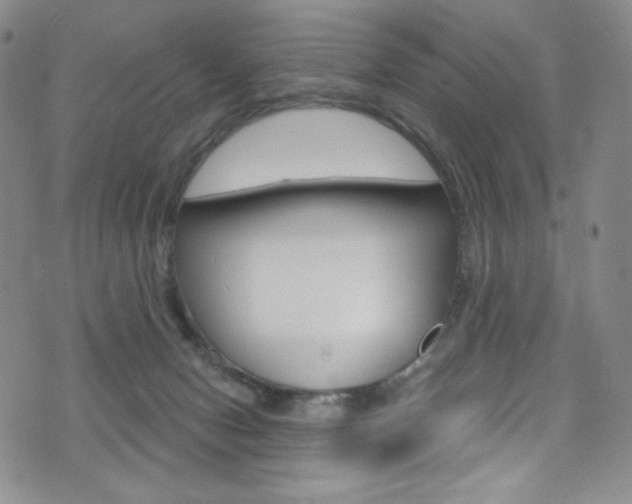 X0000075900078200609151102