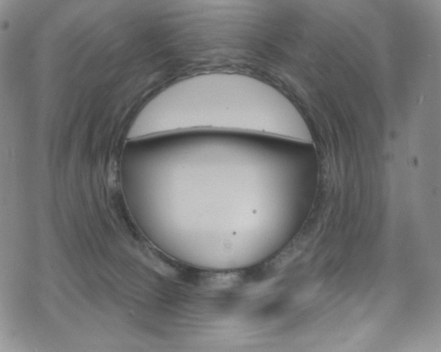 X0000075900081200609151102