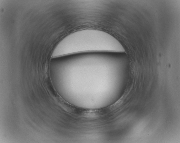 X0000075900082200609151102