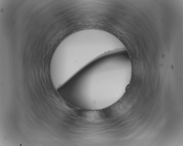 X0000075900085200609151102