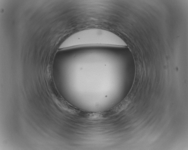 X0000075900088200609151102