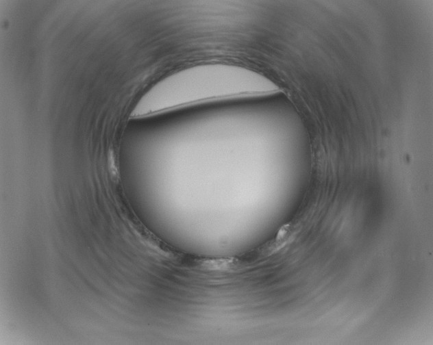 X0000075900089200609151102
