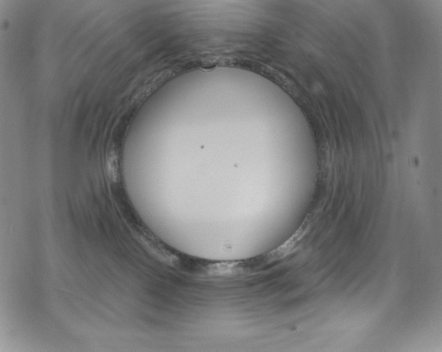 X0000075900090200609151102