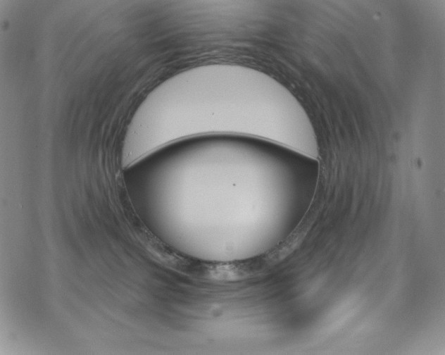 X0000075900091200609151102