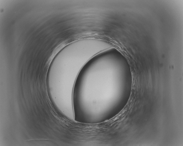 X0000075900099200609151101