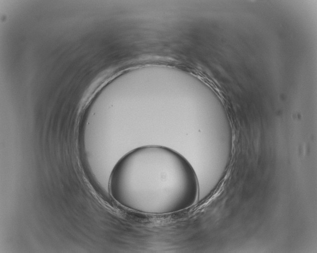 X0000075900101200609151101