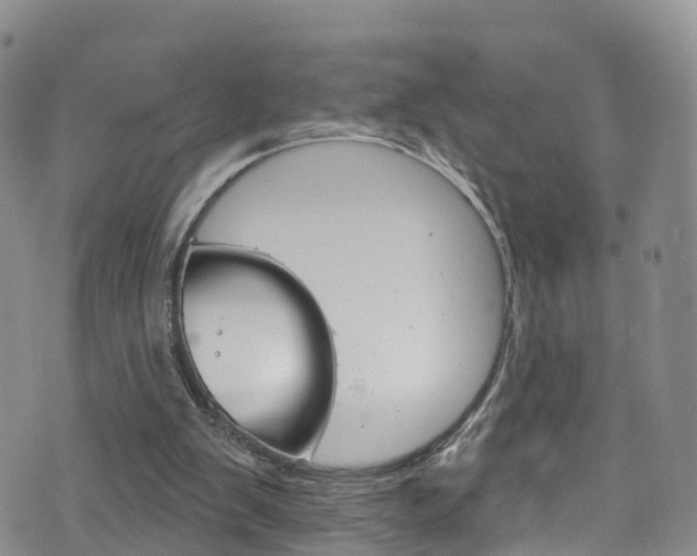 X0000075900103200609151101