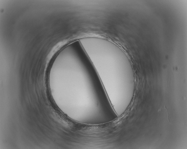 X0000075900104200609151101