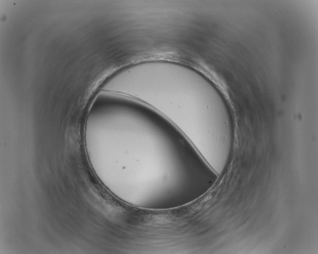 X0000075900107200609151101