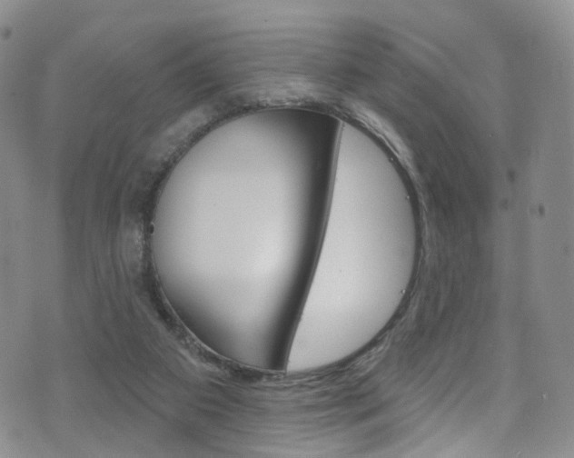 X0000075900113200609151101