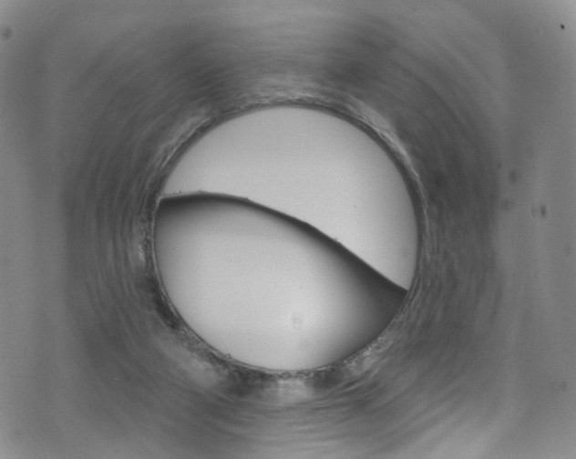 X0000075900114200609151101