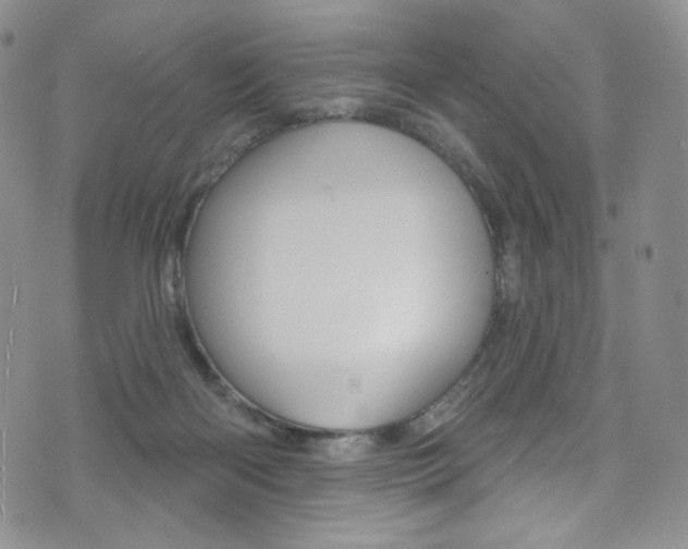 X0000075900122200609151101