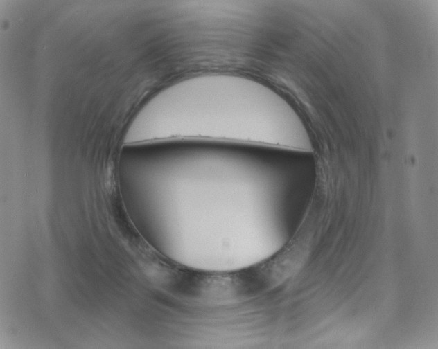 X0000075900123200609151101