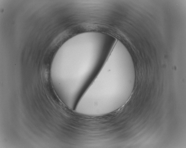 X0000075900124200609151101