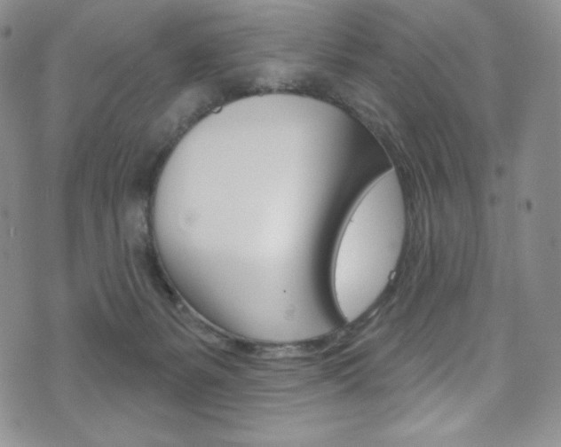 X0000075900127200609151101