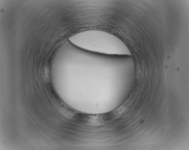 X0000075900130200609151101