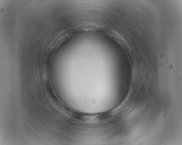X0000075900170200609151100