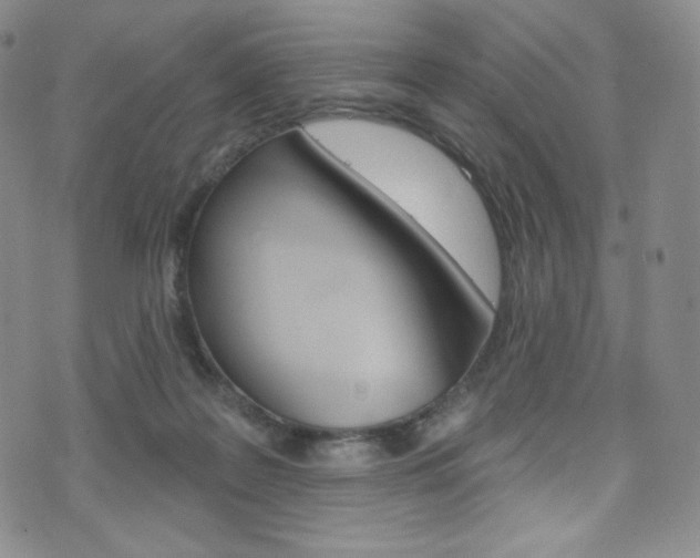 X0000075900219200609151059