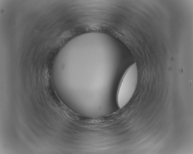 X0000075900223200609151059
