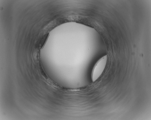 X0000075900233200609151059