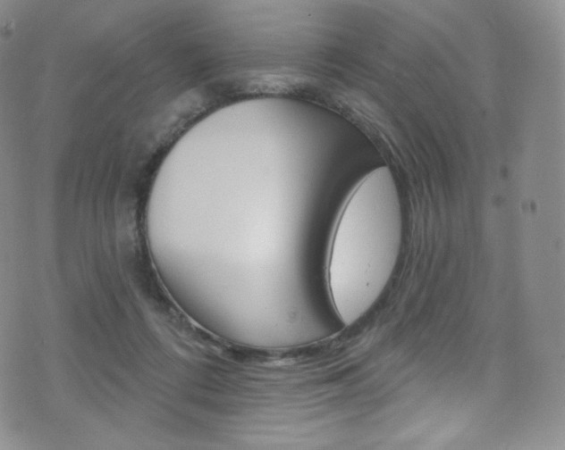 X0000075900312200609151058