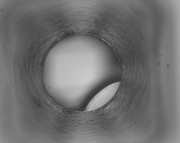 X0000075901057200609151046