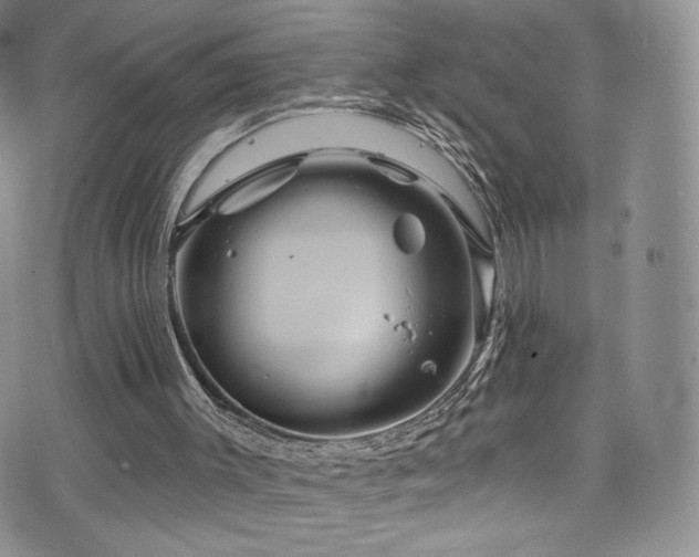 X0000075900003200609151423