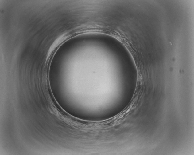 X0000075900004200609151423