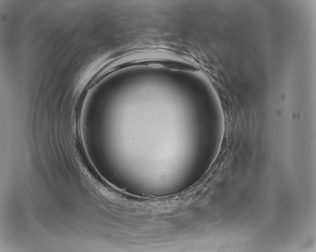 X0000075900005200609151423