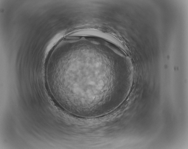 X0000075900006200609151423