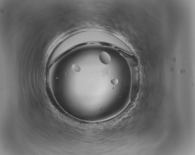 X0000075900007200609151423