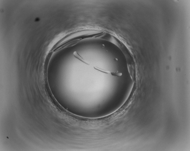 X0000075900008200609151423