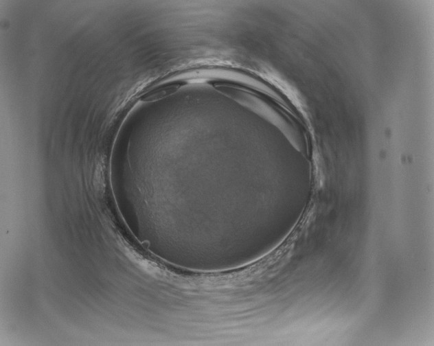 X0000075900009200609151423