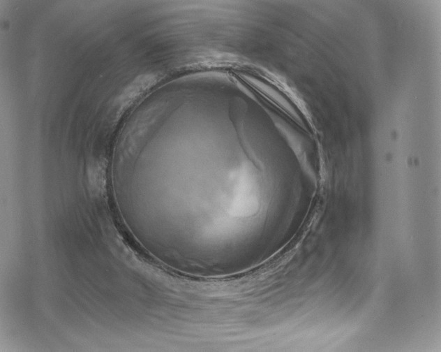 X0000075900010200609151423