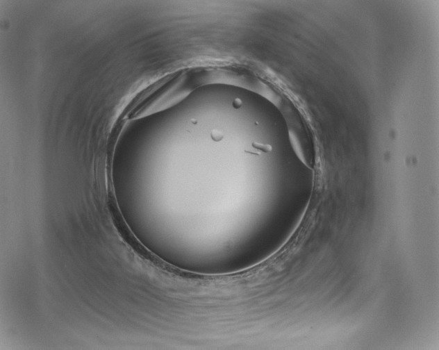 X0000075900011200609151423