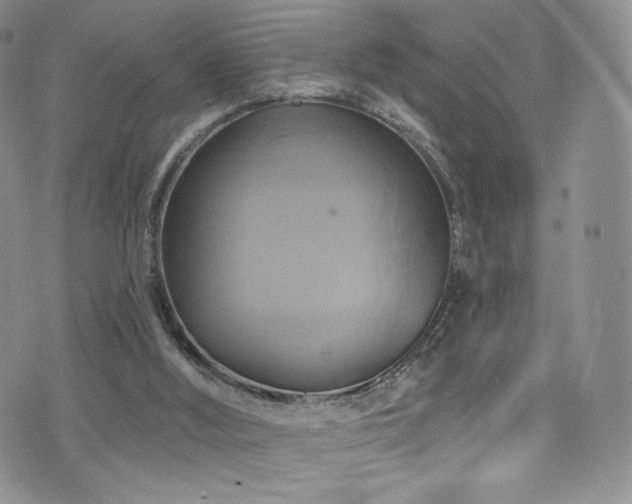 X0000075900012200609151423