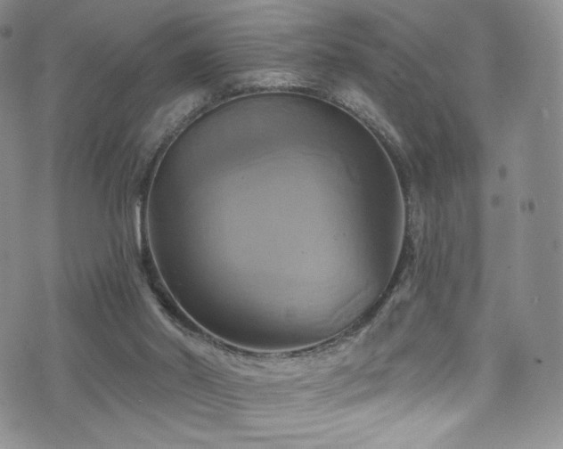 X0000075900014200609151423