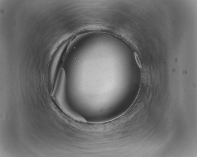 X0000075900015200609151423