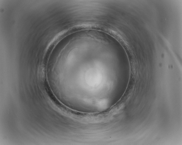 X0000075900016200609151423