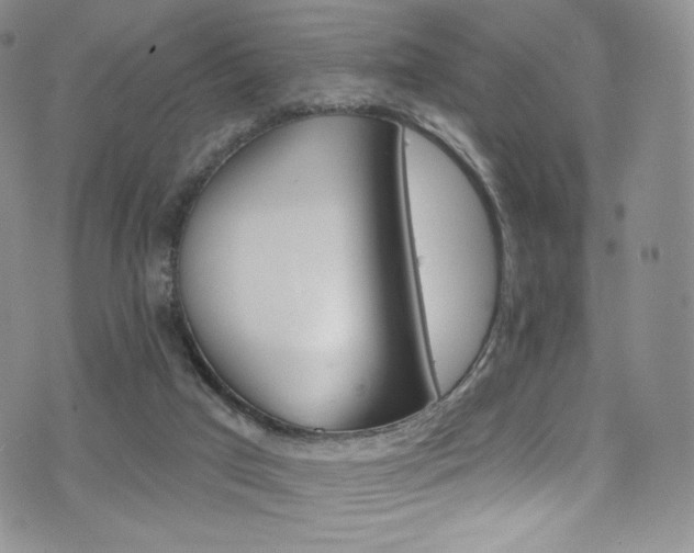 X0000075900017200609151423