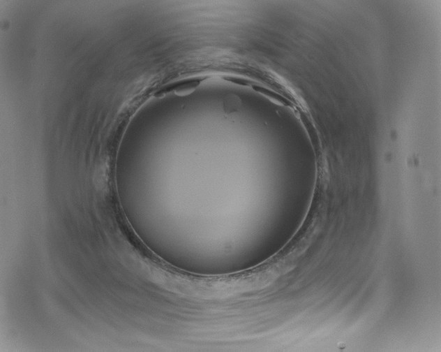 X0000075900018200609151423