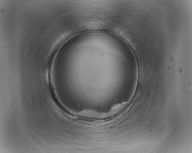 X0000075900019200609151423