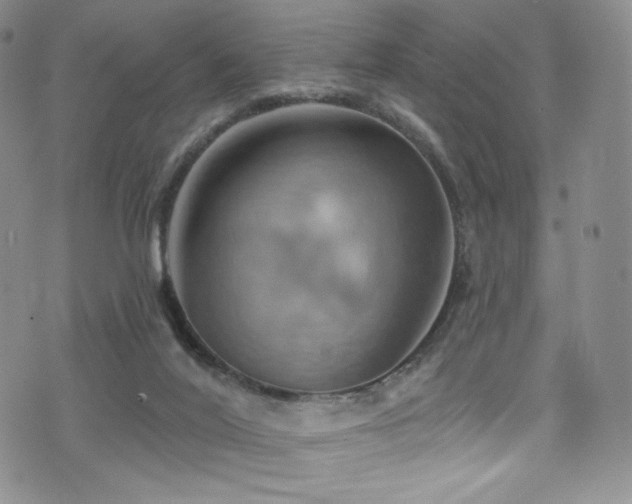 X0000075900020200609151423