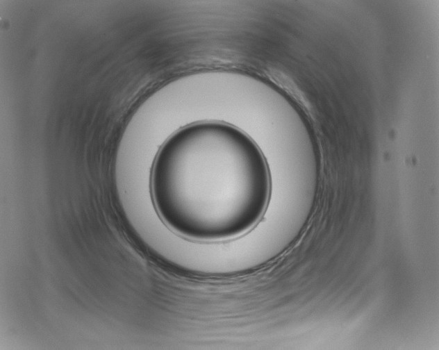 X0000075900021200609151423