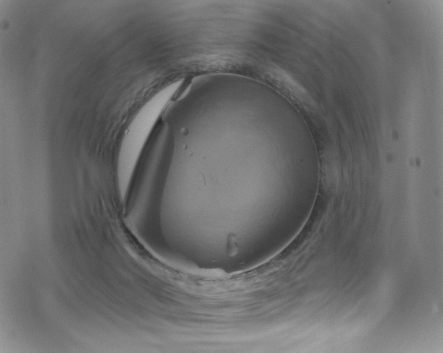 X0000075900022200609151423