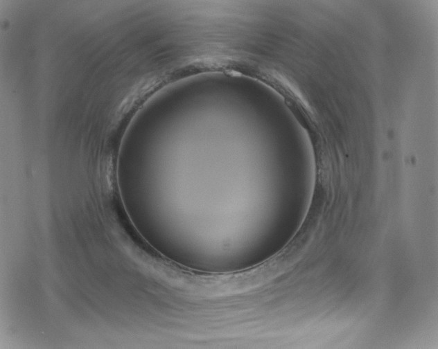 X0000075900023200609151423